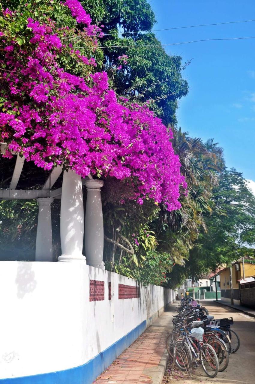 Casa Da Coruja Acomodação com café da manhã Rio de Janeiro Exterior foto